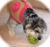 Trudi