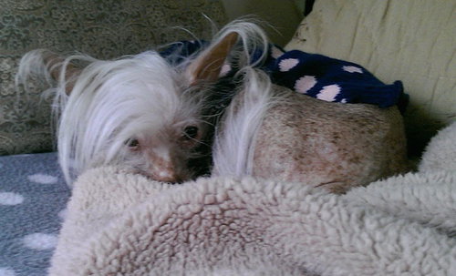 Romeo