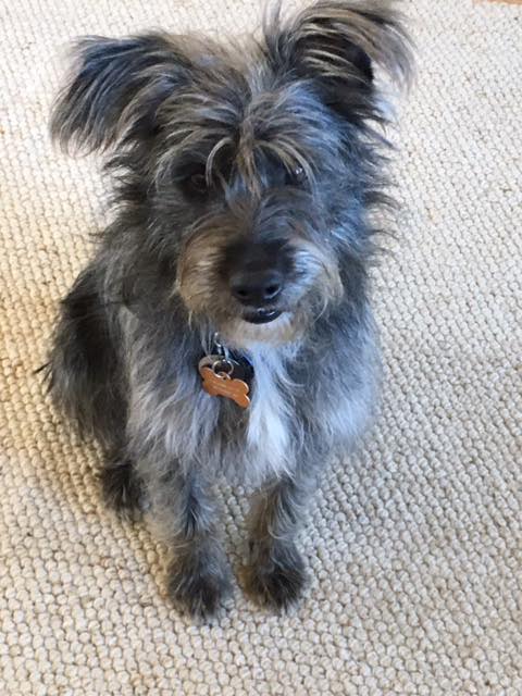 Marley