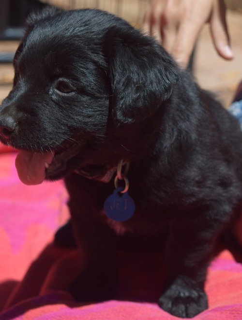 Jet
