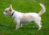 McDuff