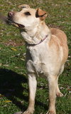 Molly