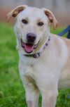 Maggie