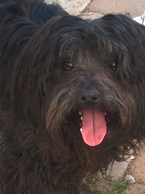 Baxter