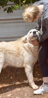 Jasper