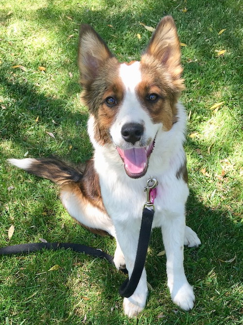 Tilly