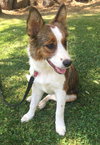 Tilly