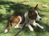 Tilly