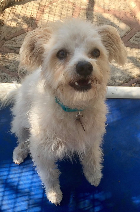 Max
