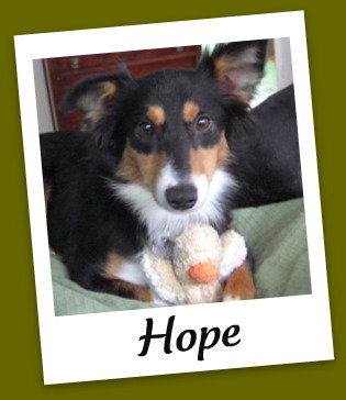 Hope
