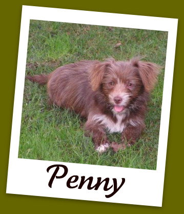 Penny
