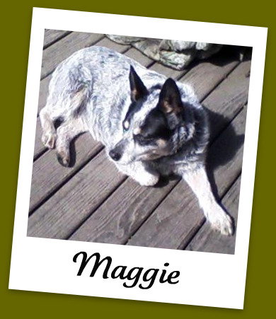 Maggie