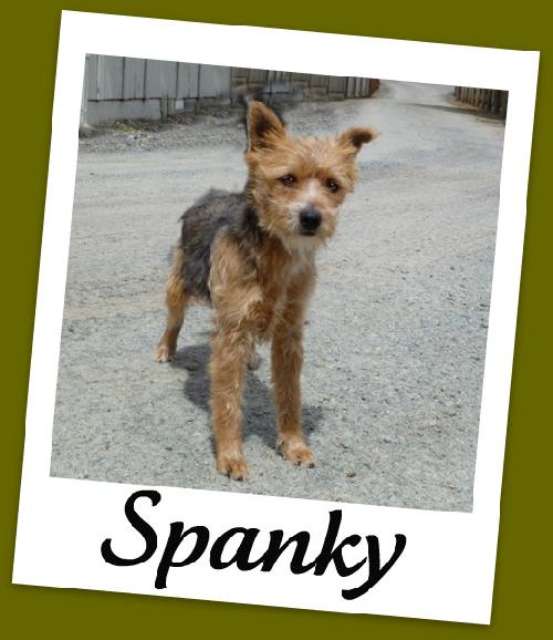 Spanky