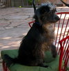 Tilly