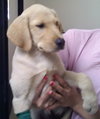 Casey