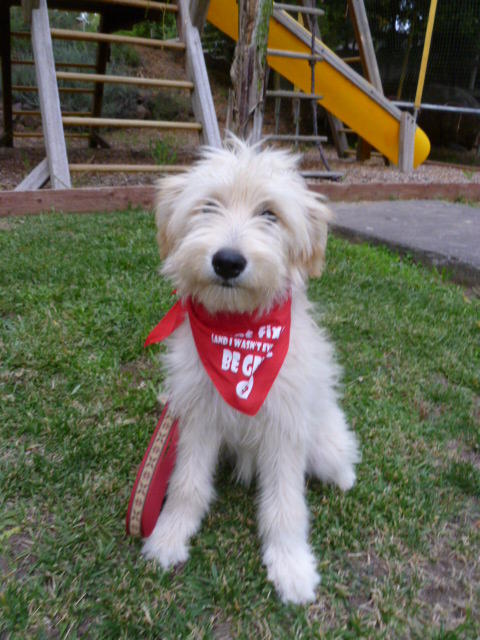 Buffy