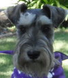 Winston
