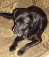 Benny