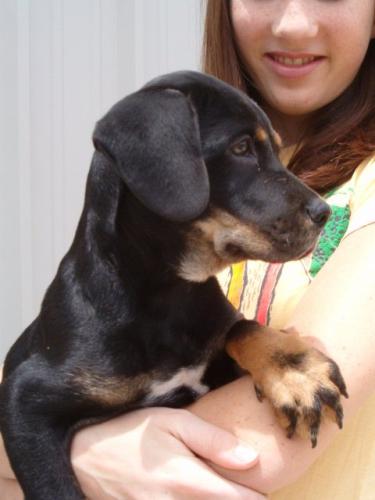 Beren