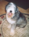 Clarence