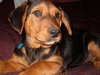 Garnet, Onyx, Jasp