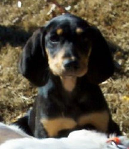 Jethro