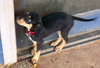 Jethro