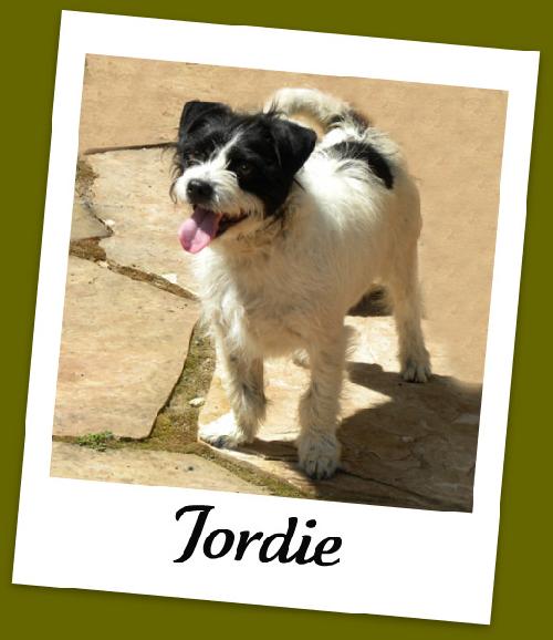 Jordie