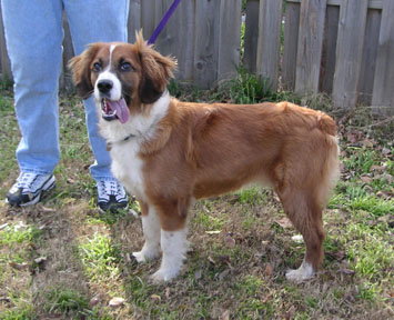 Max