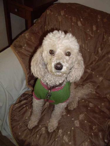 Mimi