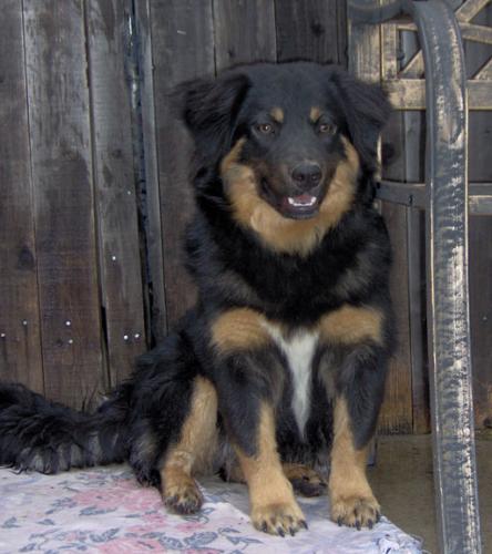 Samwise