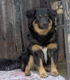 Samwise