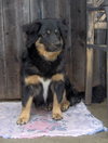 Samwise