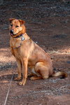 Sierra