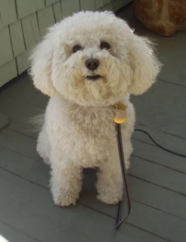 Sophie