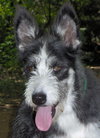 Twyla