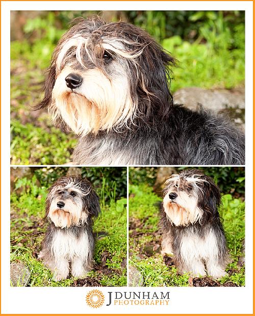 Sprocket