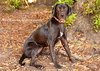 Beyonce