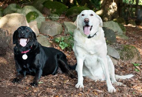 Thea and Zeus