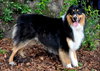 Balou