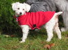 Annie
