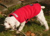 Annie