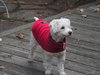 Annie