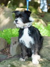 Molly