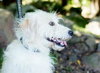 Baxter