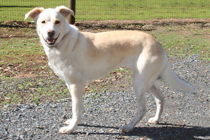 Yuki