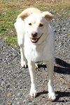Yuki