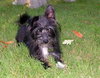 Pixie
