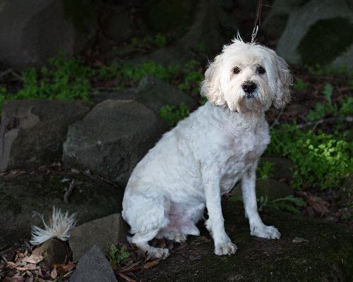 Max