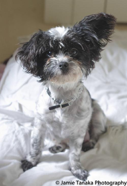 Minnie